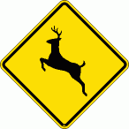 [Deer Crossing]